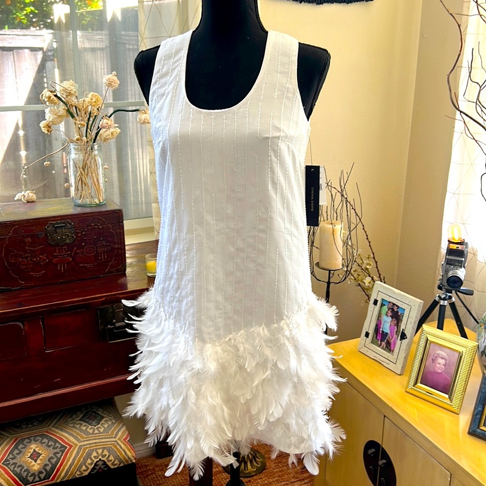Cynthia Steffe dress